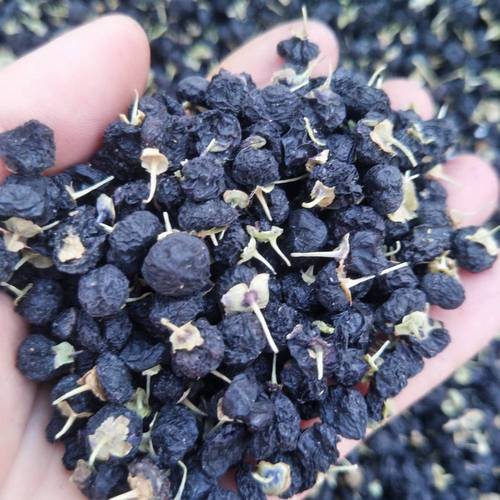 【青海黑枸杞 食用農產品大中小顆粒產地直銷黑枸杞】批發